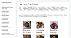 Desktop Screenshot of coenobitaspecies.com